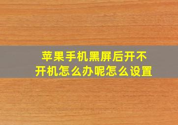 苹果手机黑屏后开不开机怎么办呢怎么设置