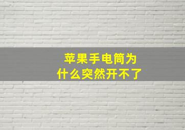 苹果手电筒为什么突然开不了