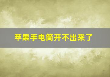 苹果手电筒开不出来了