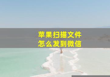 苹果扫描文件怎么发到微信