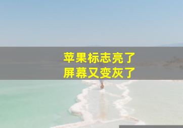 苹果标志亮了屏幕又变灰了