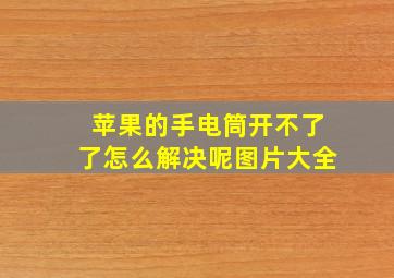 苹果的手电筒开不了了怎么解决呢图片大全