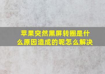 苹果突然黑屏转圈是什么原因造成的呢怎么解决