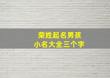 荣姓起名男孩小名大全三个字