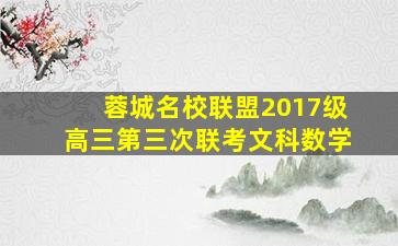 蓉城名校联盟2017级高三第三次联考文科数学