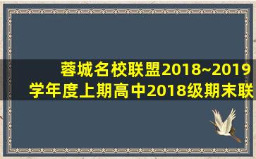 蓉城名校联盟2018~2019学年度上期高中2018级期末联考