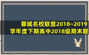 蓉城名校联盟2018~2019学年度下期高中2018级期末联考