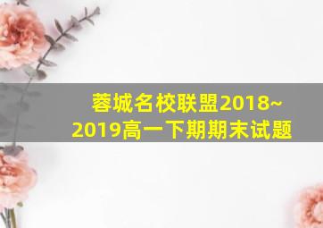 蓉城名校联盟2018~2019高一下期期末试题