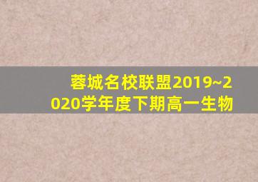 蓉城名校联盟2019~2020学年度下期高一生物