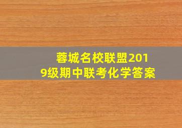 蓉城名校联盟2019级期中联考化学答案