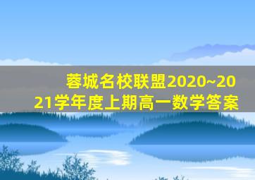 蓉城名校联盟2020~2021学年度上期高一数学答案