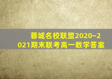 蓉城名校联盟2020~2021期末联考高一数学答案