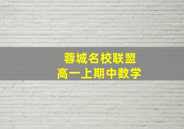 蓉城名校联盟高一上期中数学