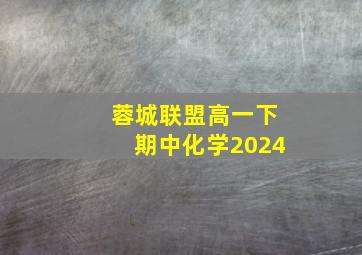 蓉城联盟高一下期中化学2024