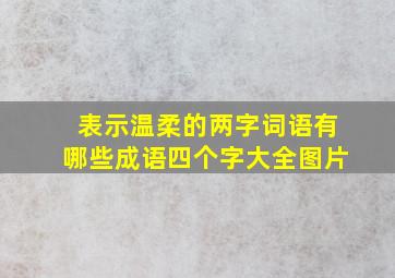 表示温柔的两字词语有哪些成语四个字大全图片