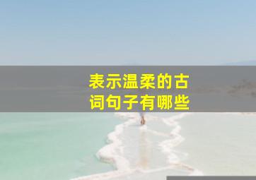 表示温柔的古词句子有哪些