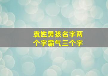 袁姓男孩名字两个字霸气三个字