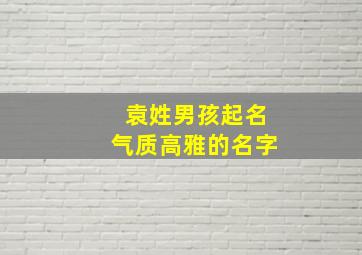 袁姓男孩起名气质高雅的名字