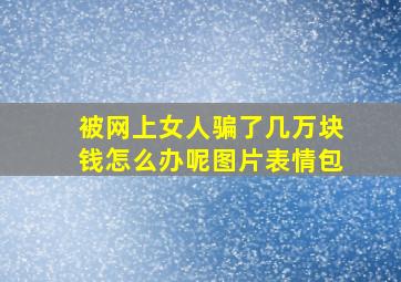 被网上女人骗了几万块钱怎么办呢图片表情包