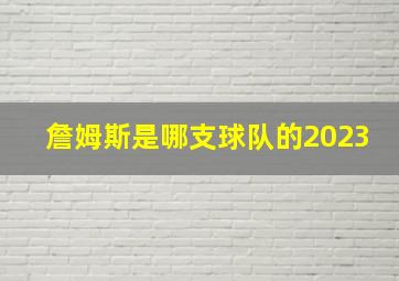 詹姆斯是哪支球队的2023