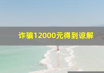 诈骗12000元得到谅解