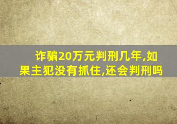 诈骗20万元判刑几年,如果主犯没有抓住,还会判刑吗