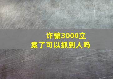 诈骗3000立案了可以抓到人吗