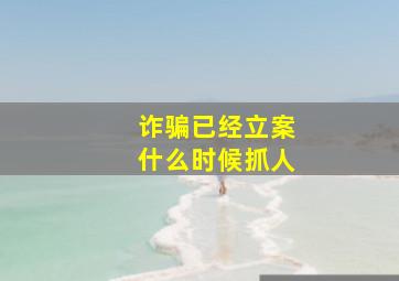 诈骗已经立案什么时候抓人