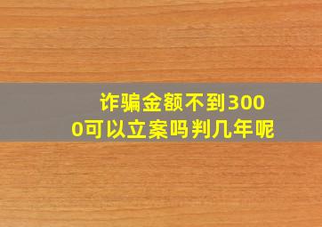 诈骗金额不到3000可以立案吗判几年呢