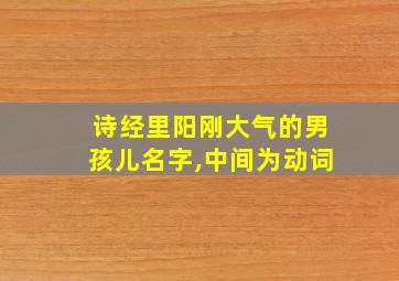 诗经里阳刚大气的男孩儿名字,中间为动词