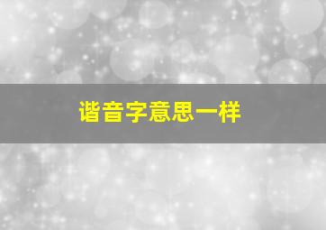 谐音字意思一样