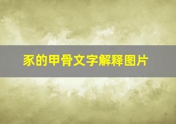 豕的甲骨文字解释图片