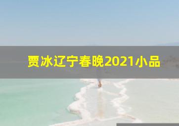 贾冰辽宁春晚2021小品