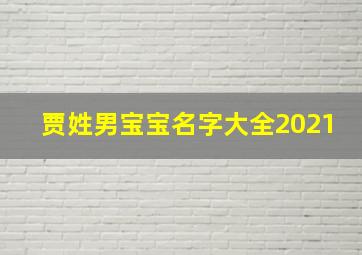 贾姓男宝宝名字大全2021