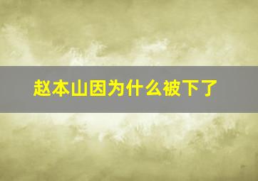 赵本山因为什么被下了