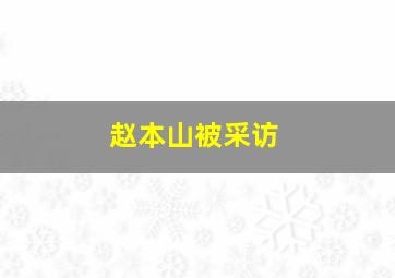 赵本山被采访