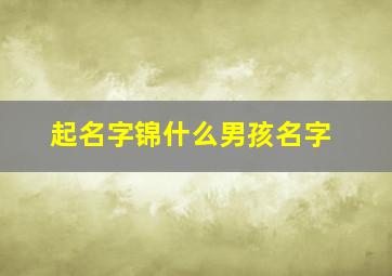 起名字锦什么男孩名字