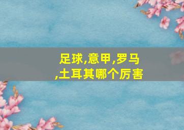 足球,意甲,罗马,土耳其哪个厉害