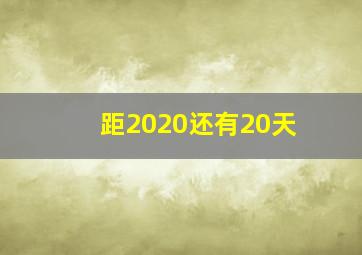 距2020还有20天