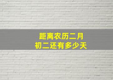 距离农历二月初二还有多少天