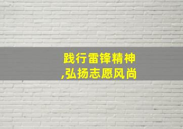 践行雷锋精神,弘扬志愿风尚