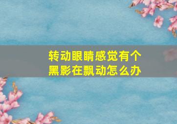 转动眼睛感觉有个黑影在飘动怎么办