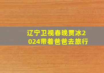 辽宁卫视春晚贾冰2024带着爸爸去旅行