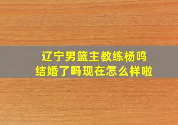 辽宁男篮主教练杨鸣结婚了吗现在怎么样啦