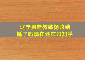 辽宁男篮教练杨鸣结婚了吗现在还在吗知乎