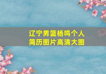 辽宁男篮杨鸣个人简历图片高清大图