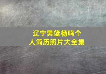 辽宁男篮杨鸣个人简历照片大全集