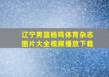 辽宁男篮杨鸣体育杂志图片大全视频播放下载