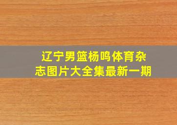 辽宁男篮杨鸣体育杂志图片大全集最新一期