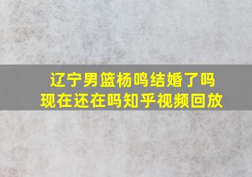 辽宁男篮杨鸣结婚了吗现在还在吗知乎视频回放